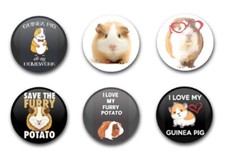 25mm 1"  BUTTON BADGES X6