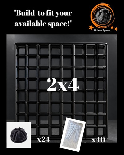 New guinea pig cage - -, 12