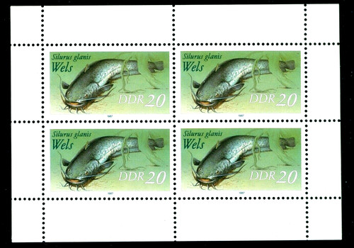 1987 the wels - 1987,