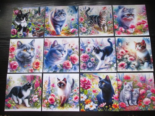 Mix cats kittens in - cats, &