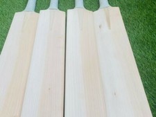 Plain English Willow Cricket