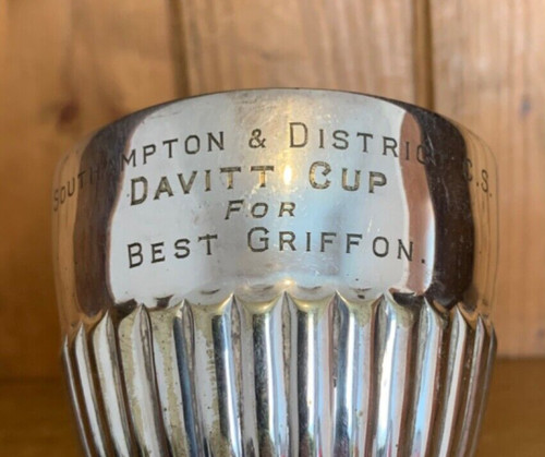Best griffon dog show - dog,