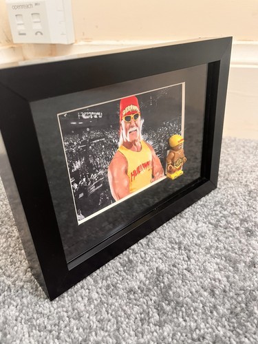 Hulk hogan fans unique - unique, photo
