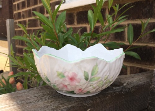 Elizabethan staffordshire - 🌸,