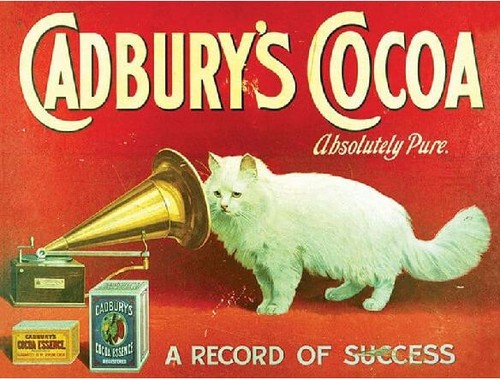 Cadburys cocoa cat - cocoa, bar
