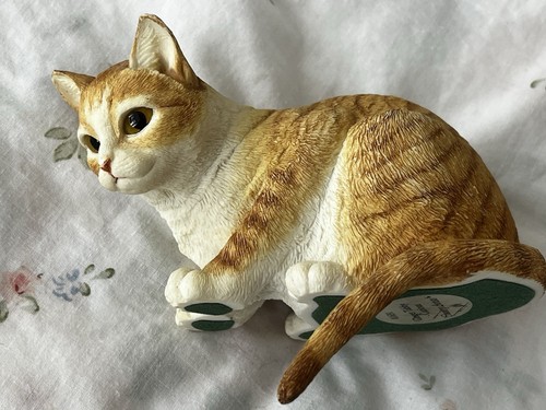 Country artists ginger tabby - country,