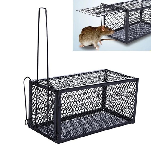 Rat trap bait cage - bait, live