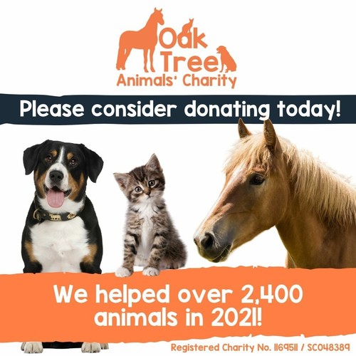 Oak tree animals charity - tree,