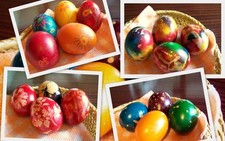 Easter Egg Dye Paint 6 Colours