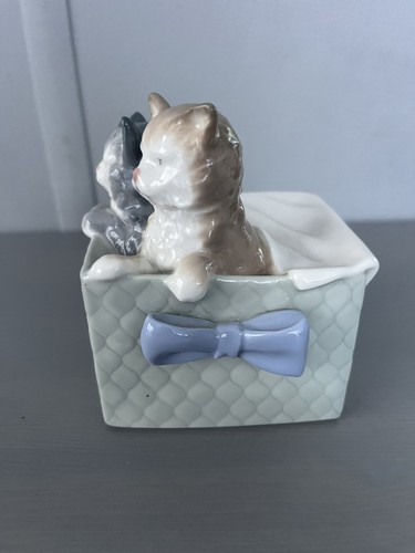 Nao kittens basket - kittens,