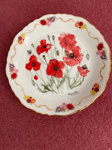 Field poppy the royal - the,