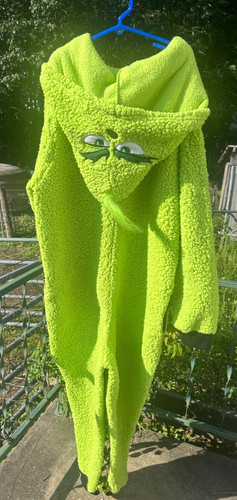 Seuss the grinch adult - the,