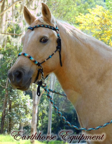 Earthhorse equipment brow - earthhorse, equipment,