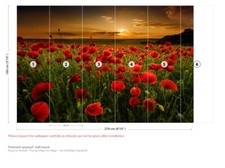 Red Poppy Field Wall Mural Wallpaper WS-42427