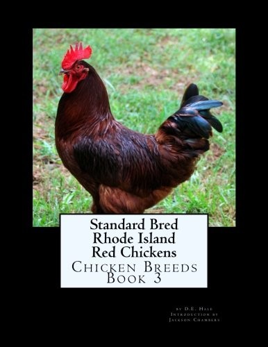 Standard bred rhode island - standard,