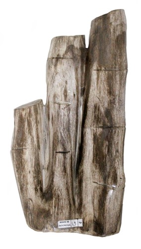 Bamboo fossil petrified wood - fossil,