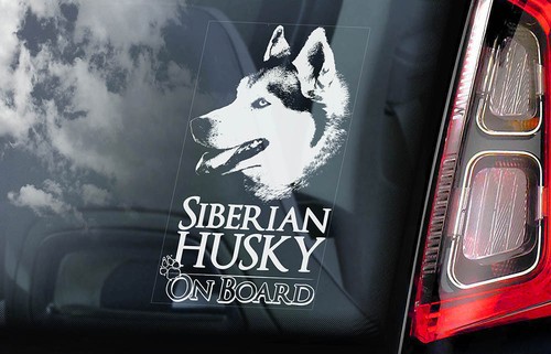 Siberian husky car sticker - car,