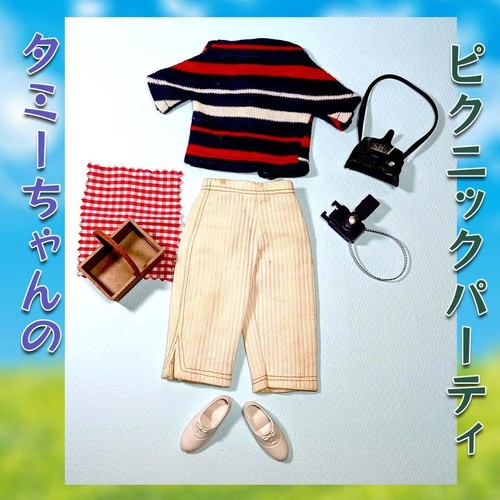 Tammy doll picnic party - picnic, outfit