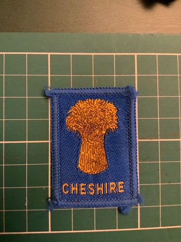 Vintage district scout - vintage, badge