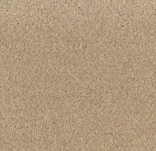 CLEARANCE Beige Dalton Carpet