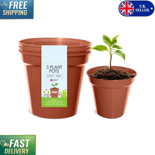 Set terracotta plant - 3,