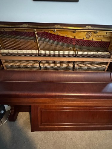 Charles bechstein model - charles,