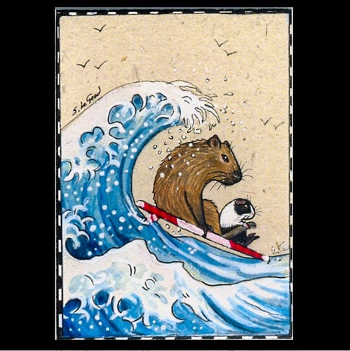 Aceo guinea pig capybara - guinea,