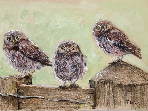 Original art work - original,