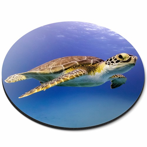 Round mouse mat - mat, sea