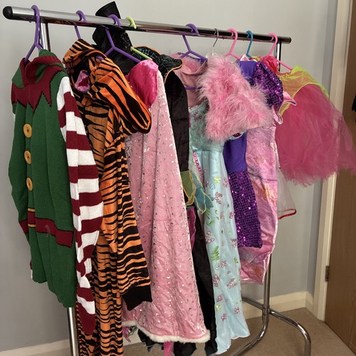 Fancy dress job lot - lot, bundle
