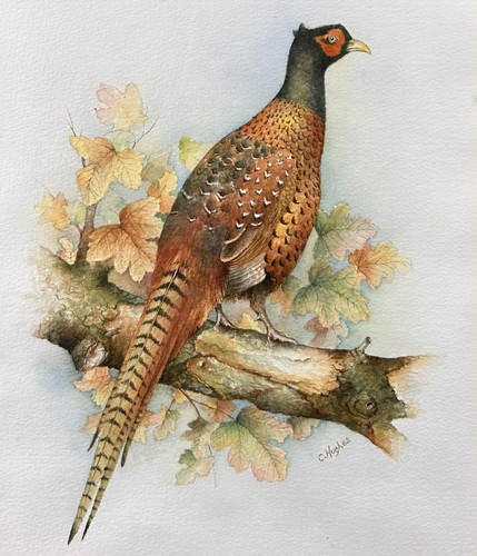 Contemporary watercolour - contemporary,