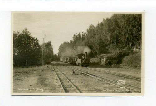 Narrow gauge railroad - railroad, steam