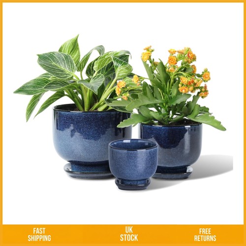 Elegant blue glazed ceramic - glazed,