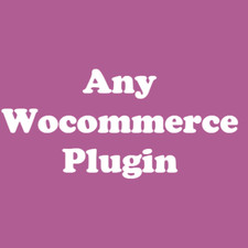 Install any wordpress plugin