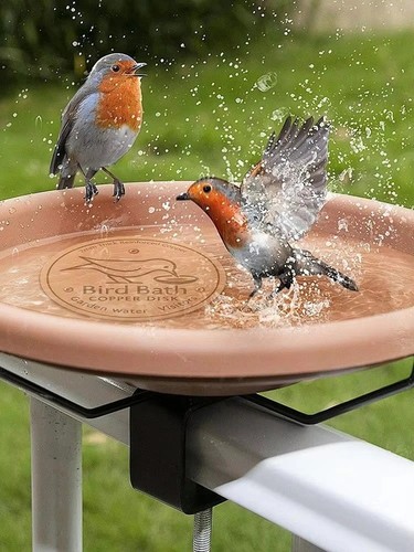 Bird bath copper disk for - bath,