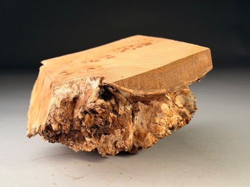Amazing live edge burr - amazing, elm