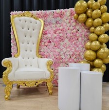 Flower wall  Baby Shower Pink Setup With THRONE CHAIR FOR HIRE ONLY 