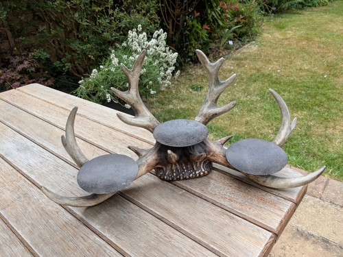 Antler candle holder table - candle,