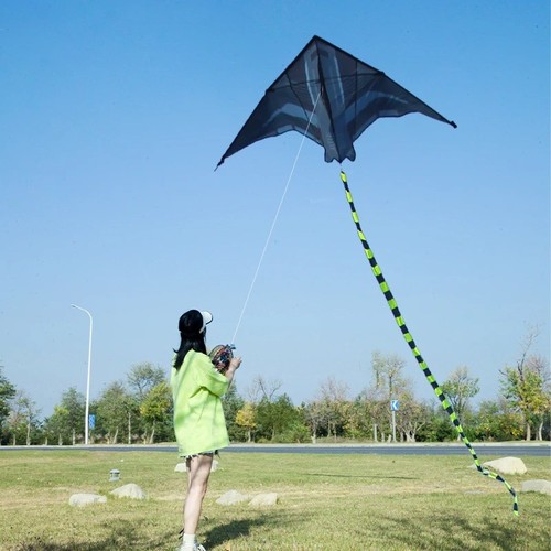 Large delta kite for - 2m,