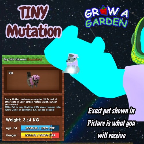 Tiny idol chipmunkpet - tiny,