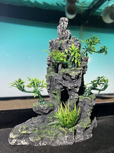 Aquarium ornament rock - ornament,
