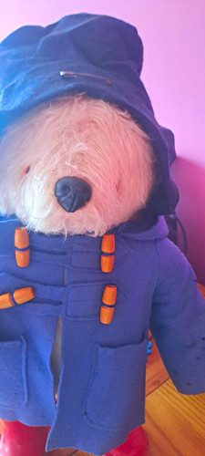 Paddington bear large plush - bear,