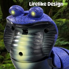 Remote Control Snake Prank