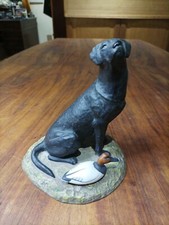 Vintage Black Lab Retriever &