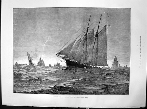Antique old print english - antique,