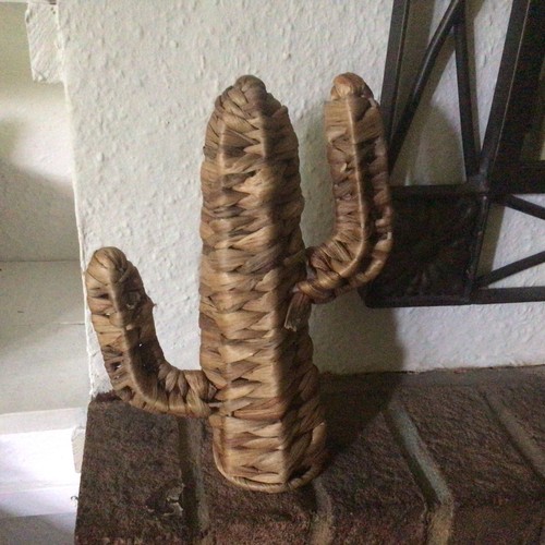 Wicker cactus from woven water - from,