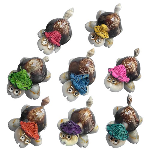 Pcs small seashell - 8,