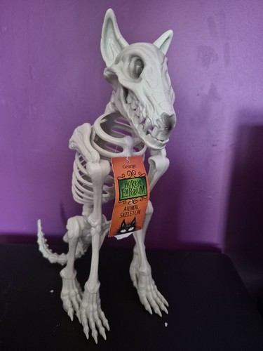 Halloween dog skeleton - halloween,