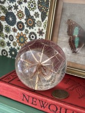 Vintage Dandelion Clock