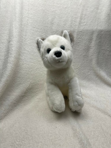 Lapland lumi husky - lapland,